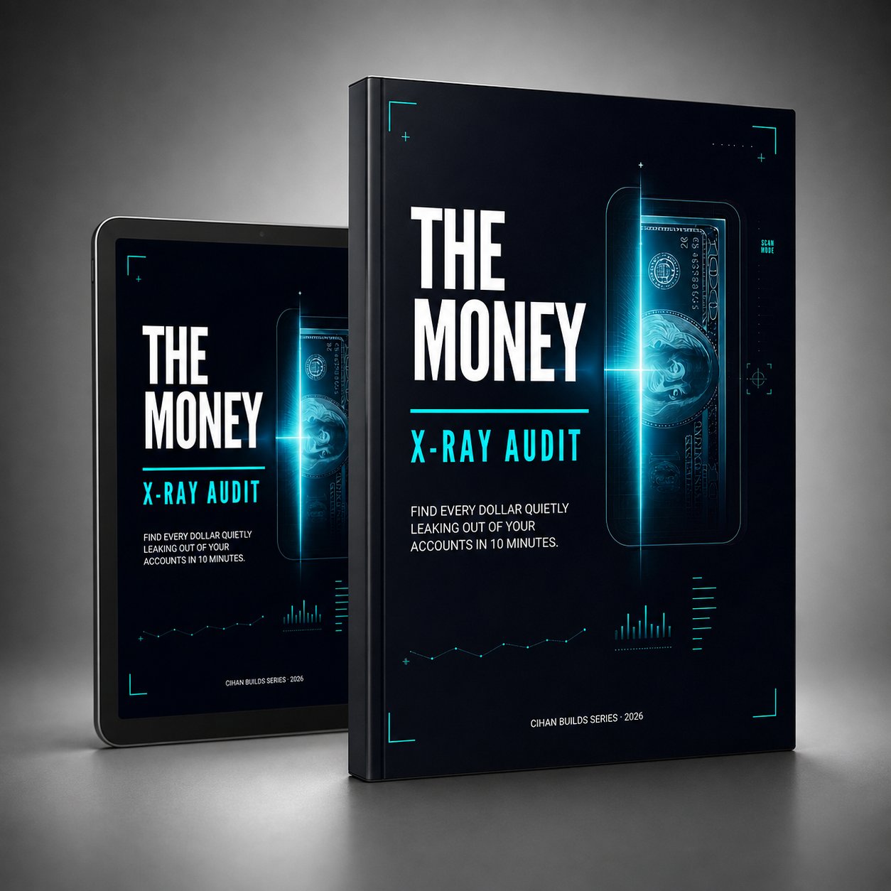 Money X-Ray Audit